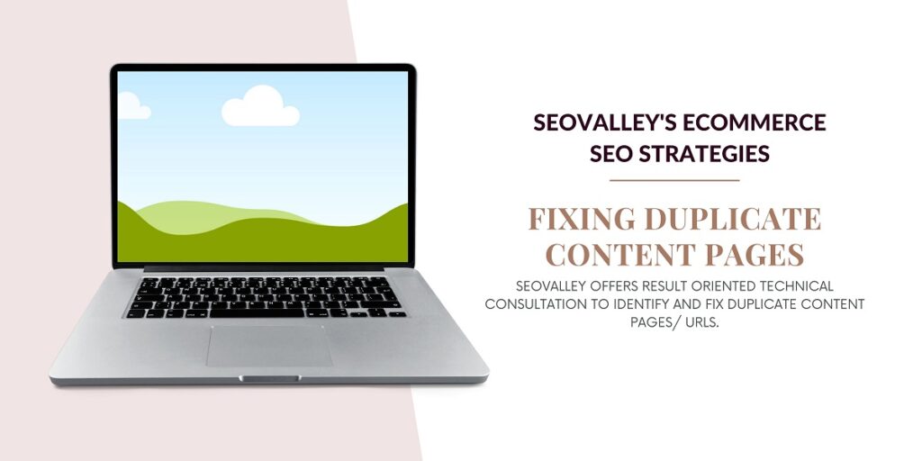 Ways To Handle Duplicate Content On Ecommerce Websites & Succeed in the Digital Marketplace