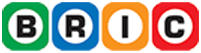 BRIC logo